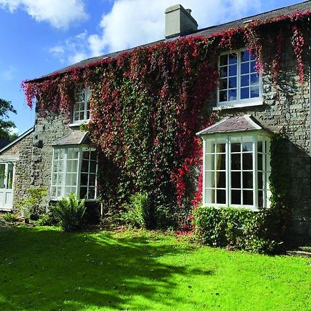 Pontyclerc Farm House Bed And Breakfast Ammanford Ngoại thất bức ảnh